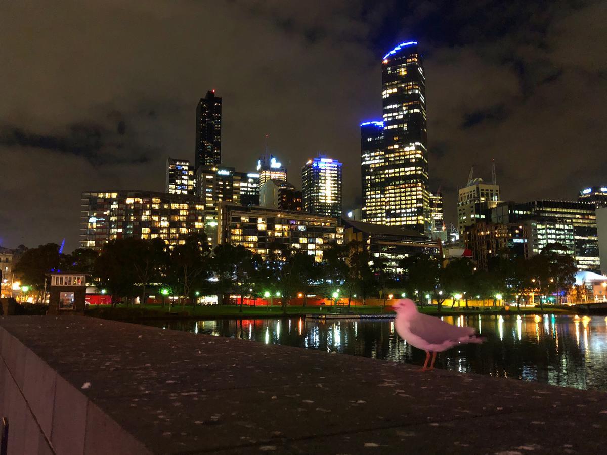 Melbourne River Views Buitenkant foto